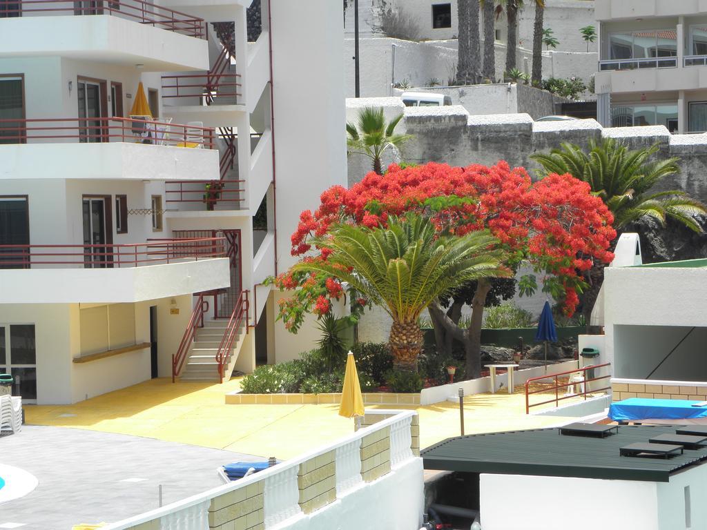 First Line Beach Apartment With Ocean View La Arena 푸에르토 데 산티아고 외부 사진